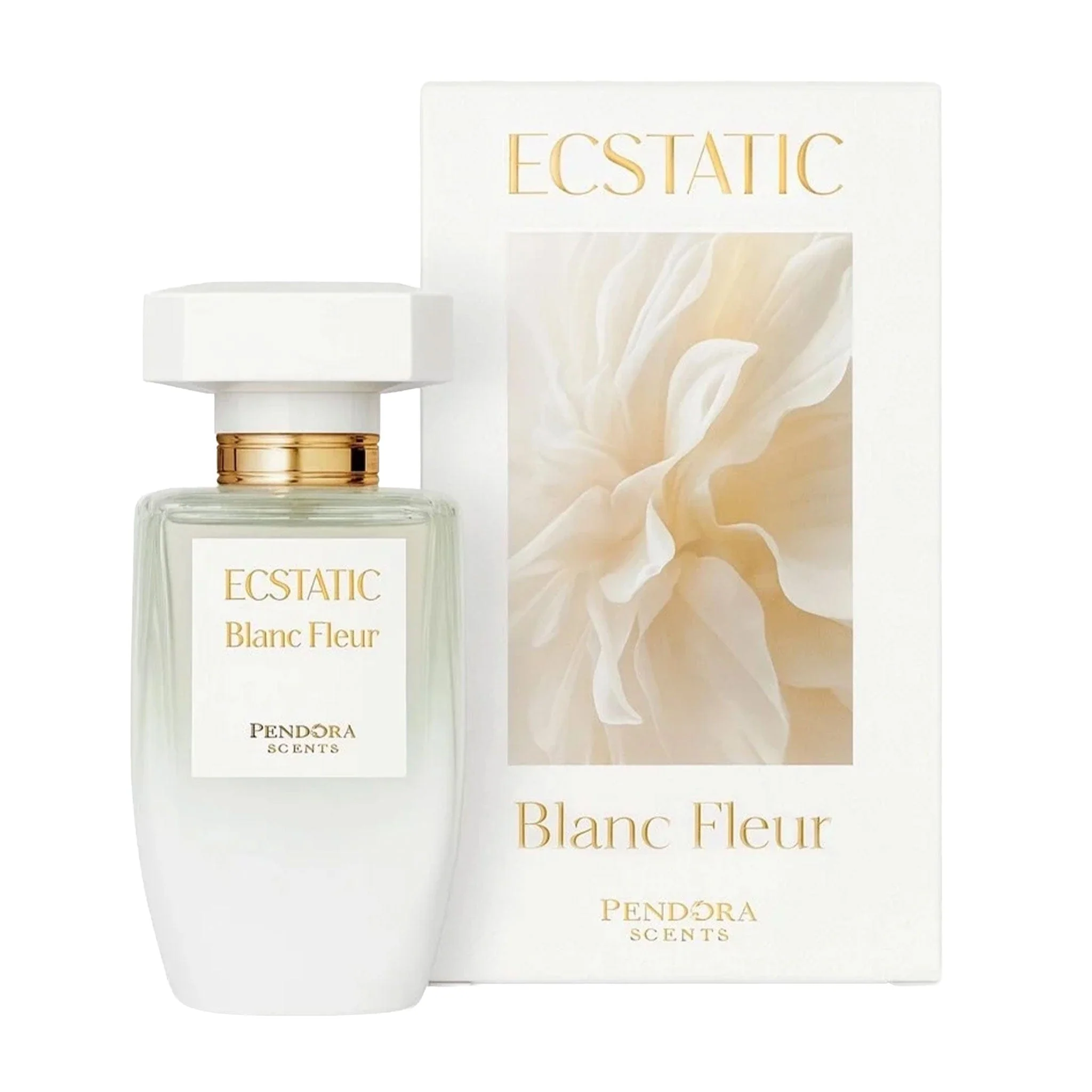 Pendora Scents - Ecstatic Blanc Fleur EDP