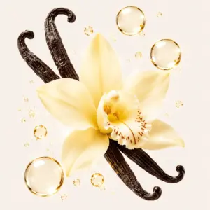 VANILLA - Manis & Comforting