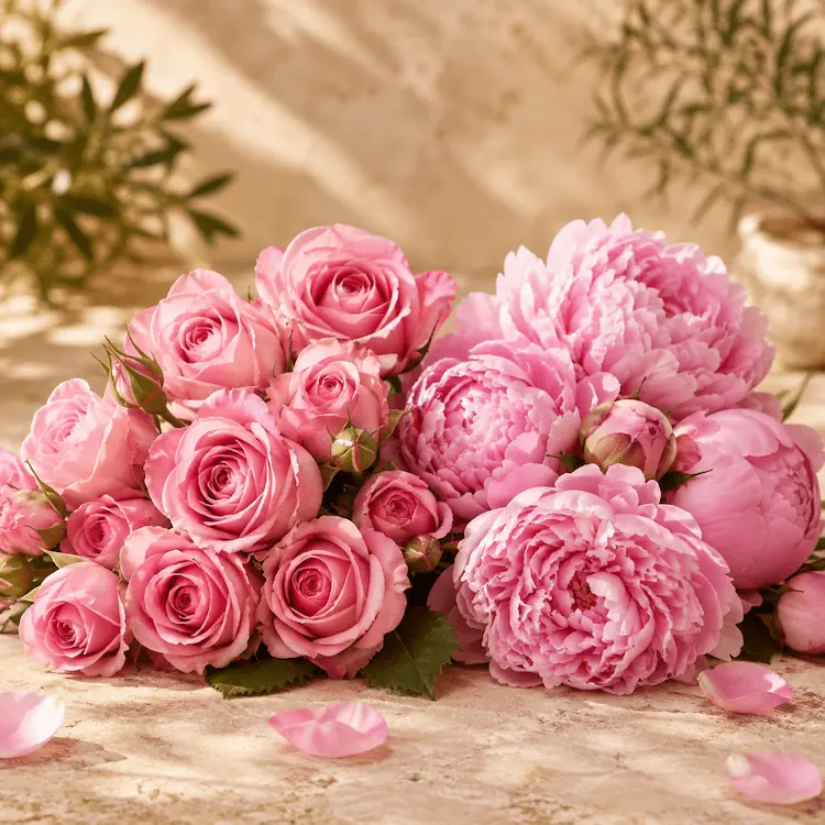 Rose dan Peony